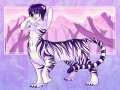 h_1227421333639_white_tiger.jpg